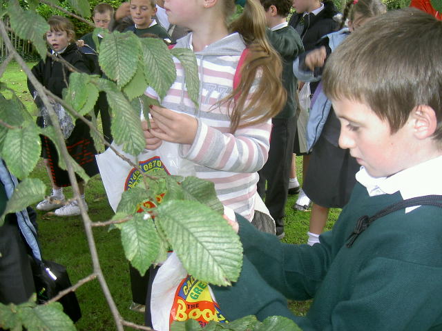 Event - windows project